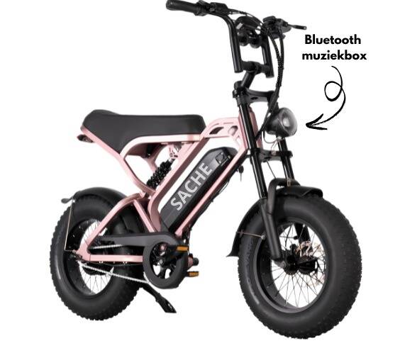 QmWheel V20 Mini Rose Salm