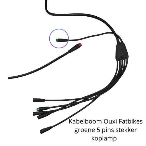 Kabelboom Ouxi Fatbikes groene 5 pins stekker koplamp  - Main Wire