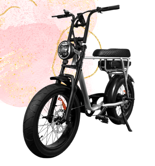Sache Fatbike EB2 RS Silver