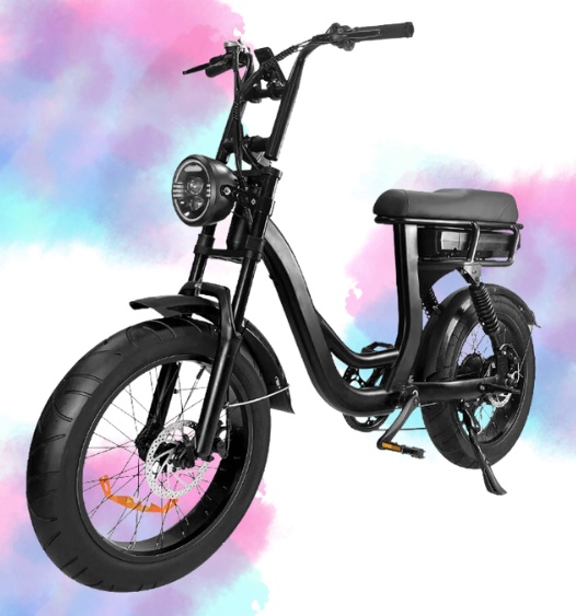 Sache Fatbike EB8 RS2 Mat Zwart