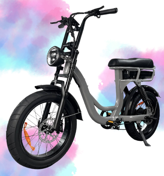 Sache Fatbike EB8 RS - RS2 Nardo Grey