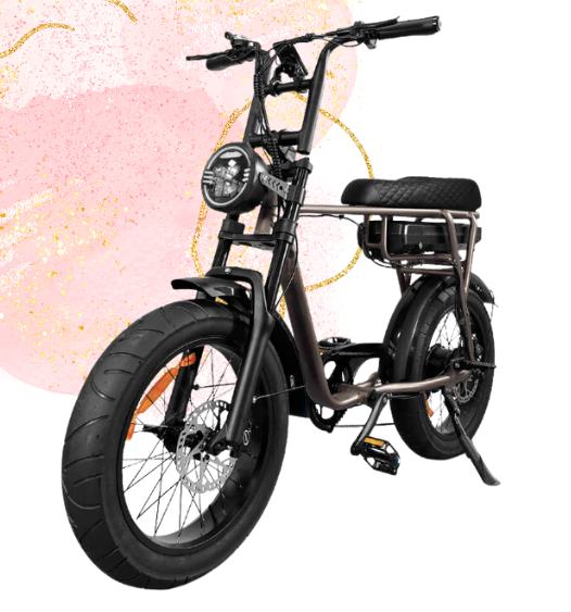 Sache fatbike EB2 RS Deep Coffee