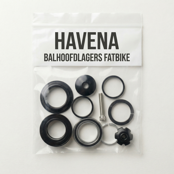 Balhoofdlagers set Fatbike