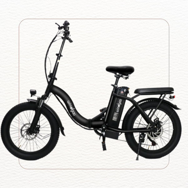 Windgoo E20 Pro