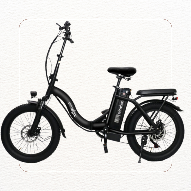 Windgoo E20 Pro