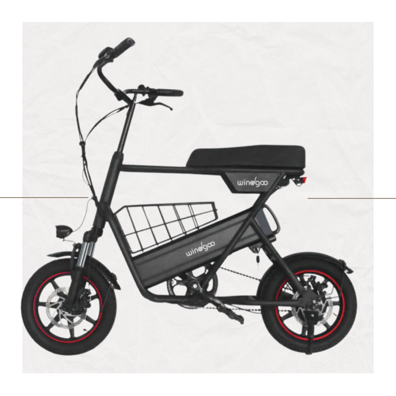 F1 Hybrid E-Bike