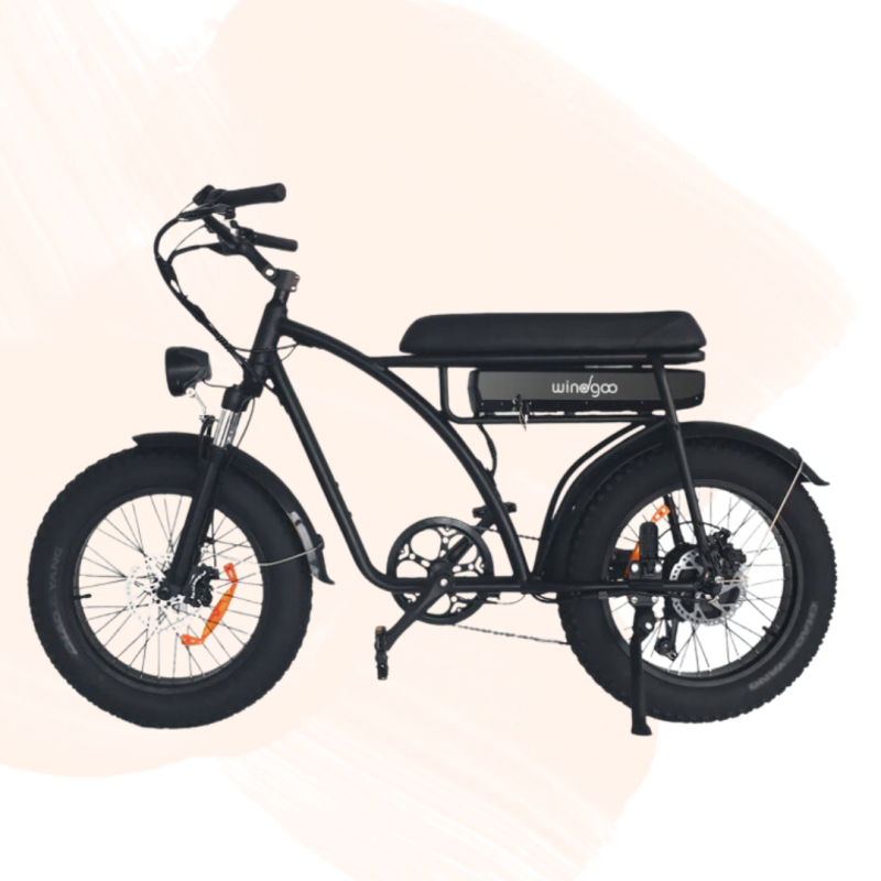 F5 fatbike