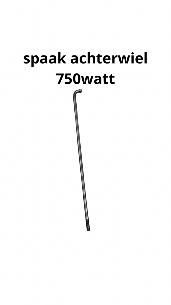 Spaak achtervelg motor 750watt
